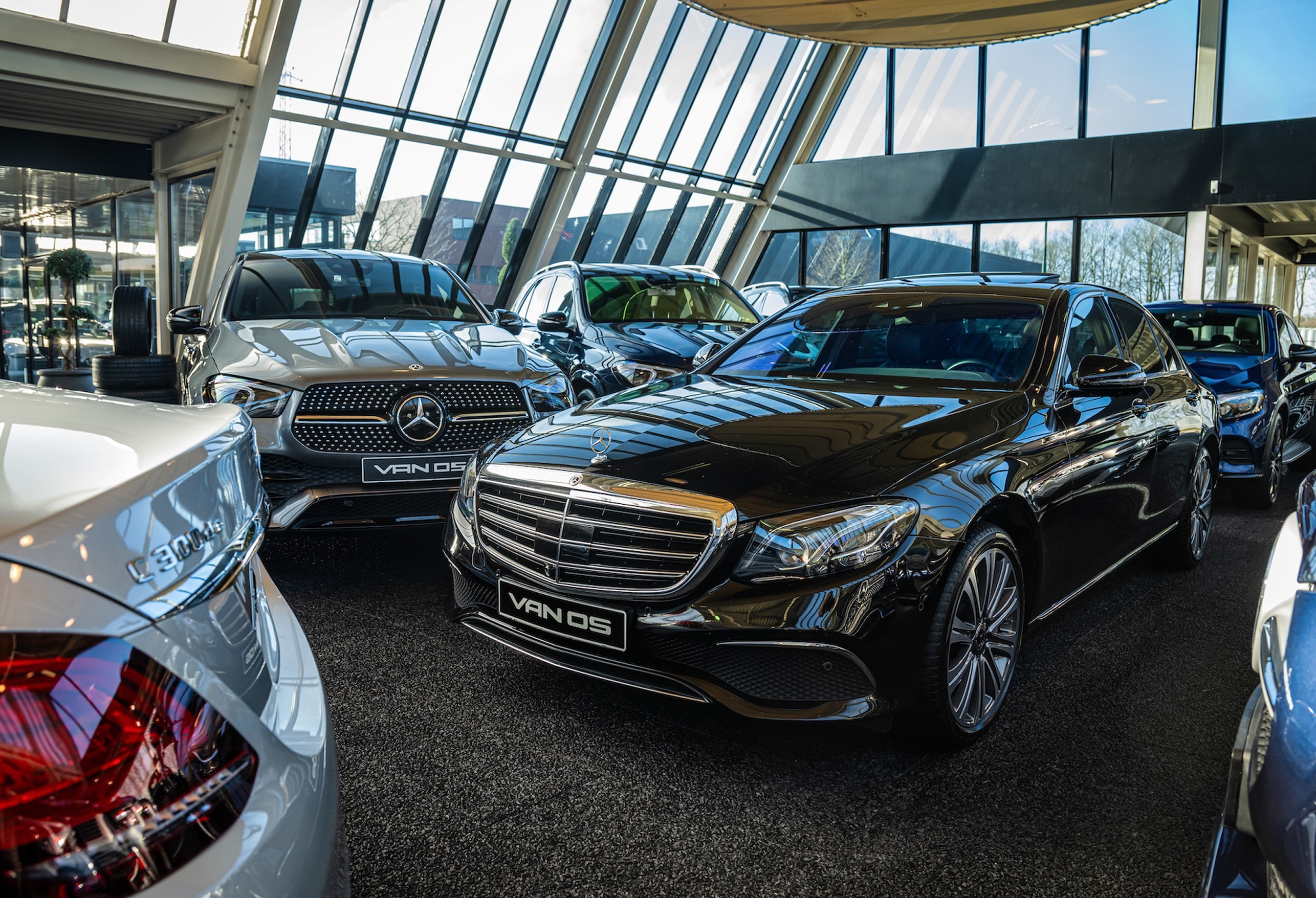 Content 17_content_image_1744624574275246410.jpg Zoekopdracht | Partner Website